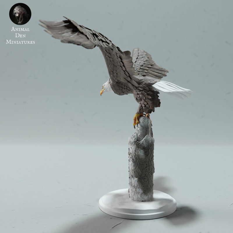 Bald Eagle - Only-Games
