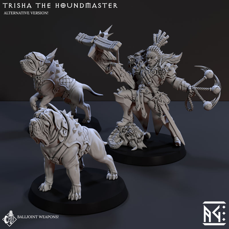 Trisha The Houndmaster (Requiem Demon Hunters) - Only-Games