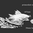 Primordial Orca (pose 2 of 2) - Only-Games