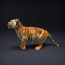Bengal Tiger Cub 1/43 - Only-Games