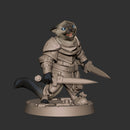 Catfolk Rogue - Only-Games