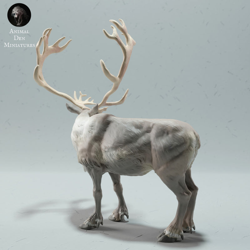 Reindeer / Caribou Bull - Only-Games