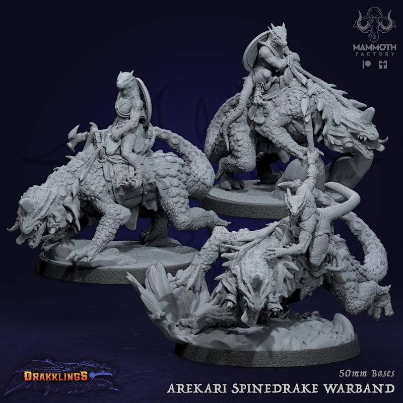 Arekari Spinedrake Warband (3 Models) - Only-Games