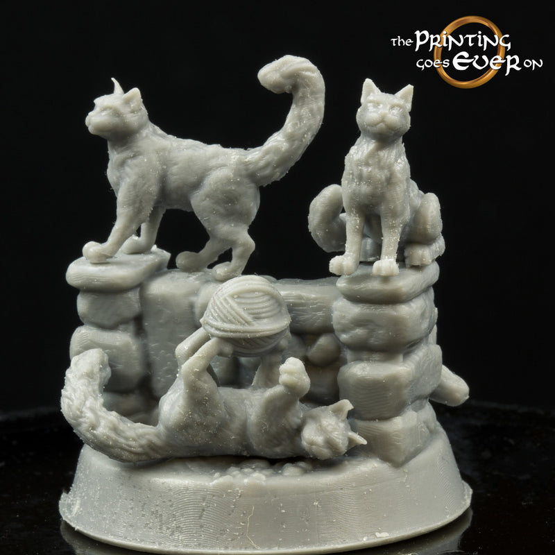 House Cats - 5 Poses - Only-Games
