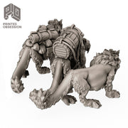 Pack Cats (3 Models) - Only-Games