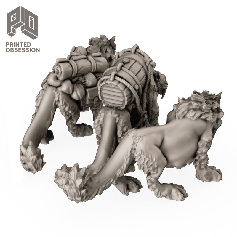 Pack Cats (3 Models) - Only-Games