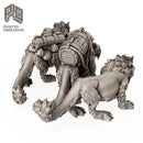 Pack Cats (3 Models) - Only-Games