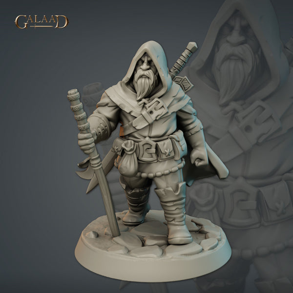 Male Dwarf traveler - Only-Games