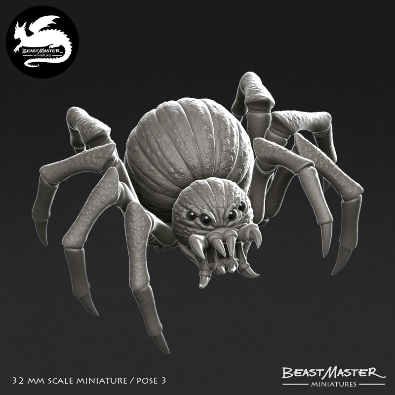 Pumpkin Spider Pack - 4 models - Only-Games