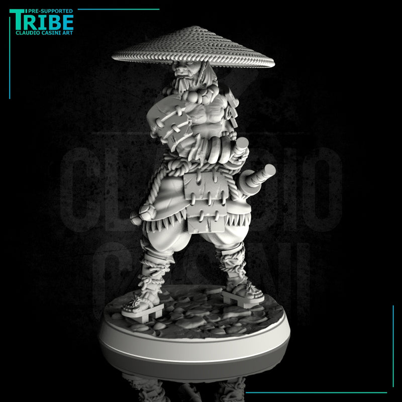 (0116) Male samurai warrior tengu elf human firbolg half orc tiefling with two katana - Only-Games
