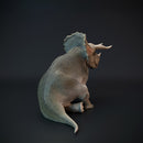 Triceratops resting dinosaur - Only-Games