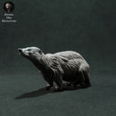 European Badger 1/32 - Only-Games