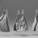 Angelic Lion Knights - Only-Games