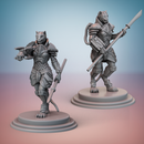 Brakkan Empire. War Maidens. - Only-Games