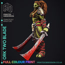 Two Blade - Orc - Pre-Coloured - 32mm Scale - Only-Games
