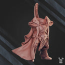 Knight Kastrel - Only-Games