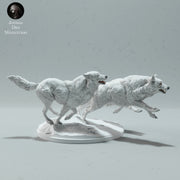 Arctic Wolves Run 1:24 - Only-Games
