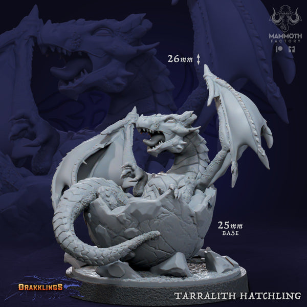 Tarralith Hatchling (1 Model) - Only-Games