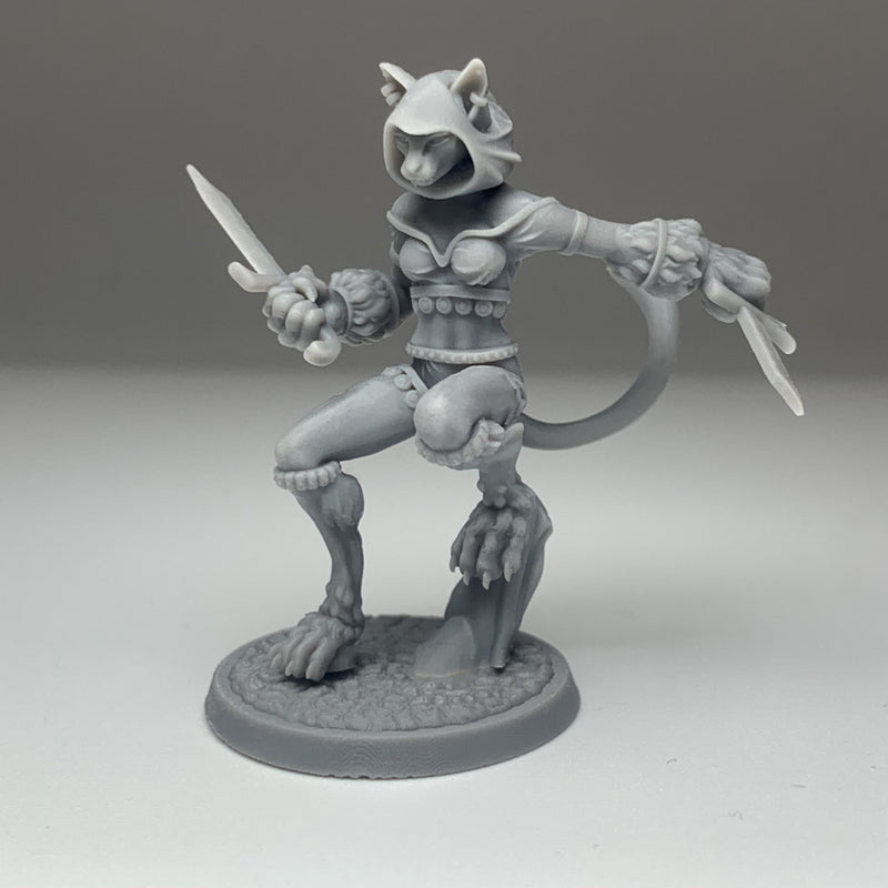 Female Tabaxi v3 - Only-Games