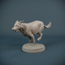 German Shepherd dog running - Only-Games