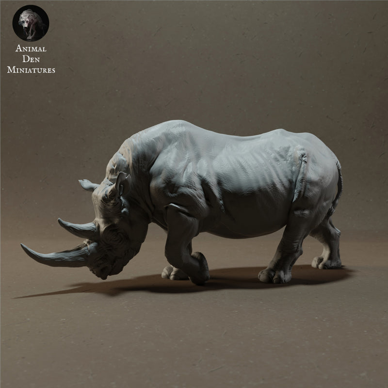 Black Rhino 1/43 - Only-Games