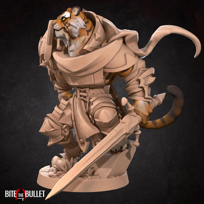 Tabaxi Paladin - Only-Games