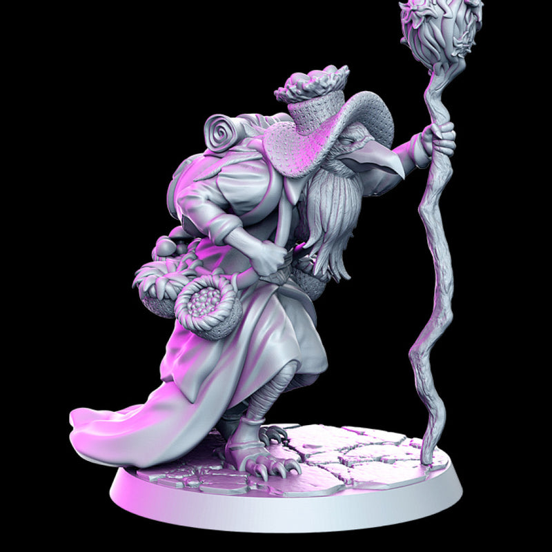 Dhrameek - Bird Druid - 32mm - DnD - - Only-Games