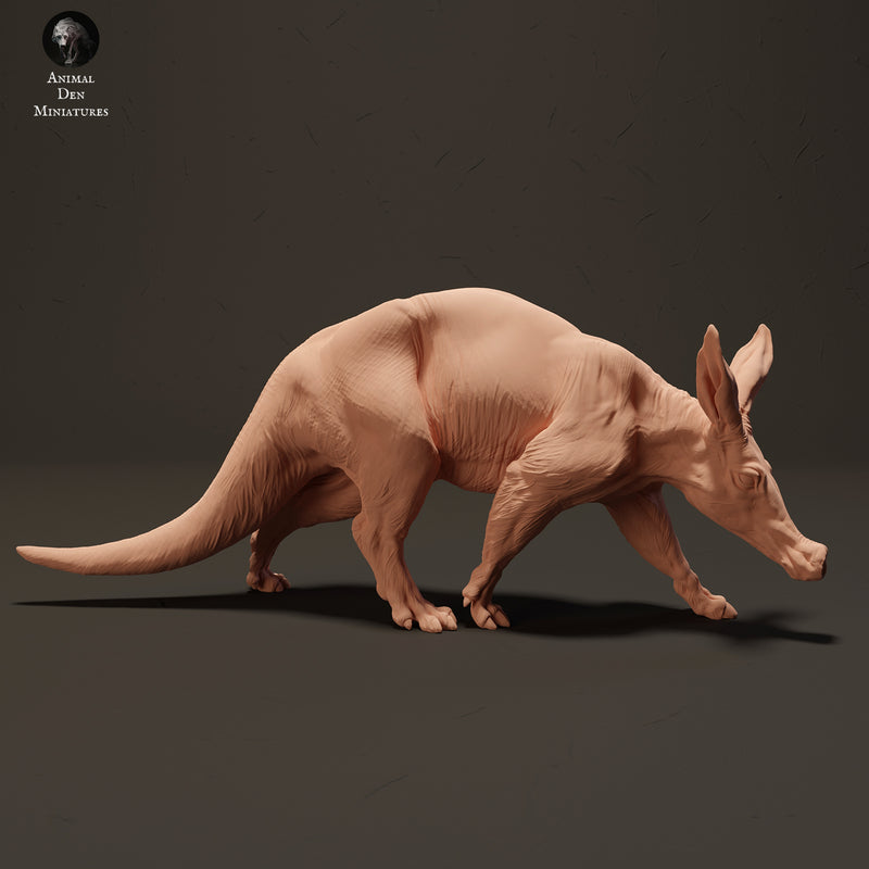 Aardvark 1/20 - Only-Games