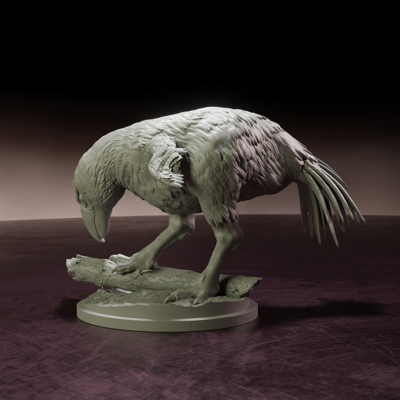 Brontornis searching 1/24 scale - Only-Games