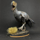 Brontornis running prehistoric bird 1/24 scale - Only-Games