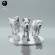 Arctic Wolves Run 1:24 - Only-Games