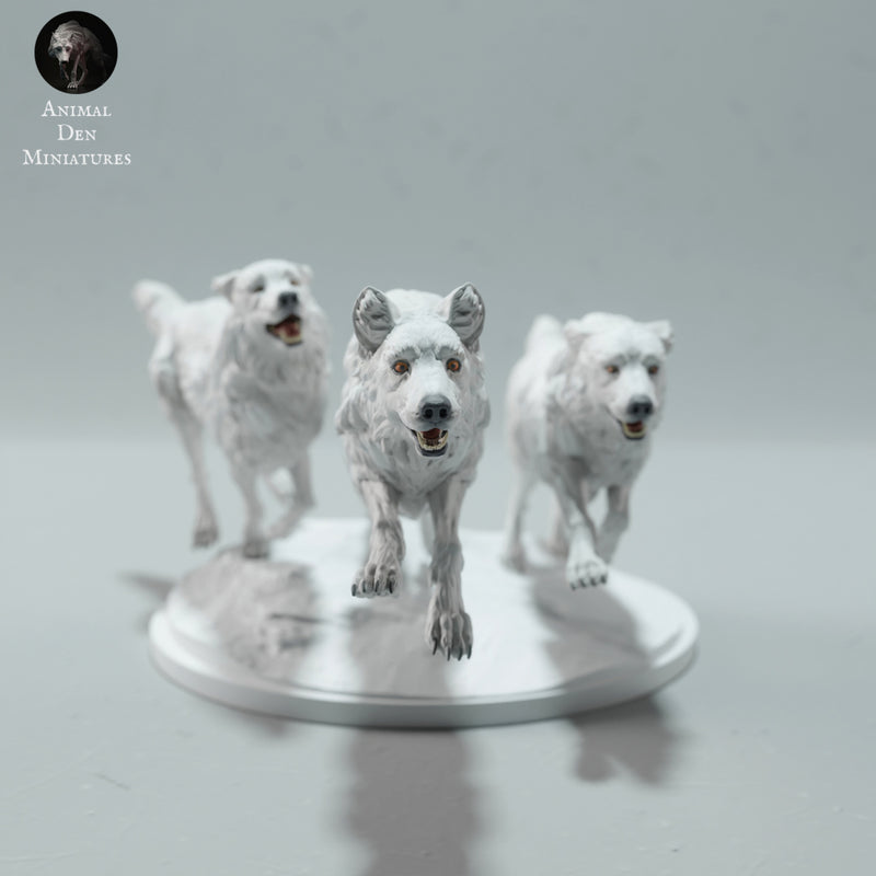 Arctic Wolves Run 1:24 - Only-Games