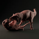 Tyrannosaurus fight 1-35 scale dinosaur - Only-Games
