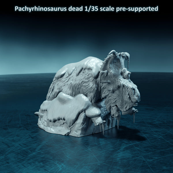 Pachyrhinosaurus frozen dead 1-35 scale dinosaur - Only-Games