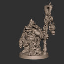 Olda, the Tortle Druid - Only-Games