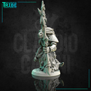 (0173) Male shaman wizard sorceror gnoll - Only-Games