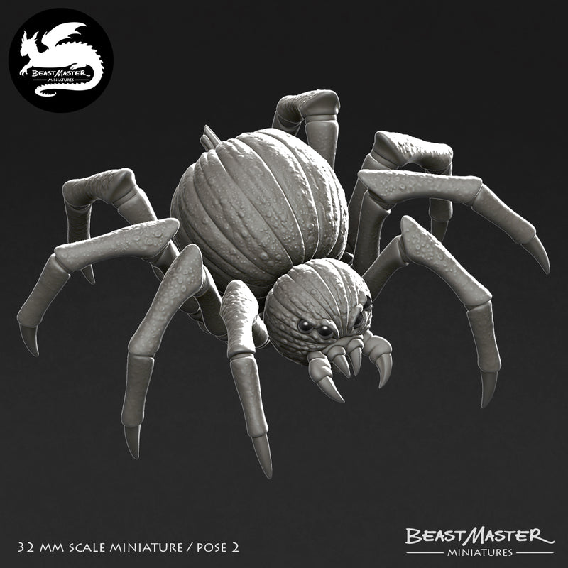 Pumpkin Spider Pack - 4 models - Only-Games