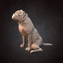 Animal Pack - Only-Games