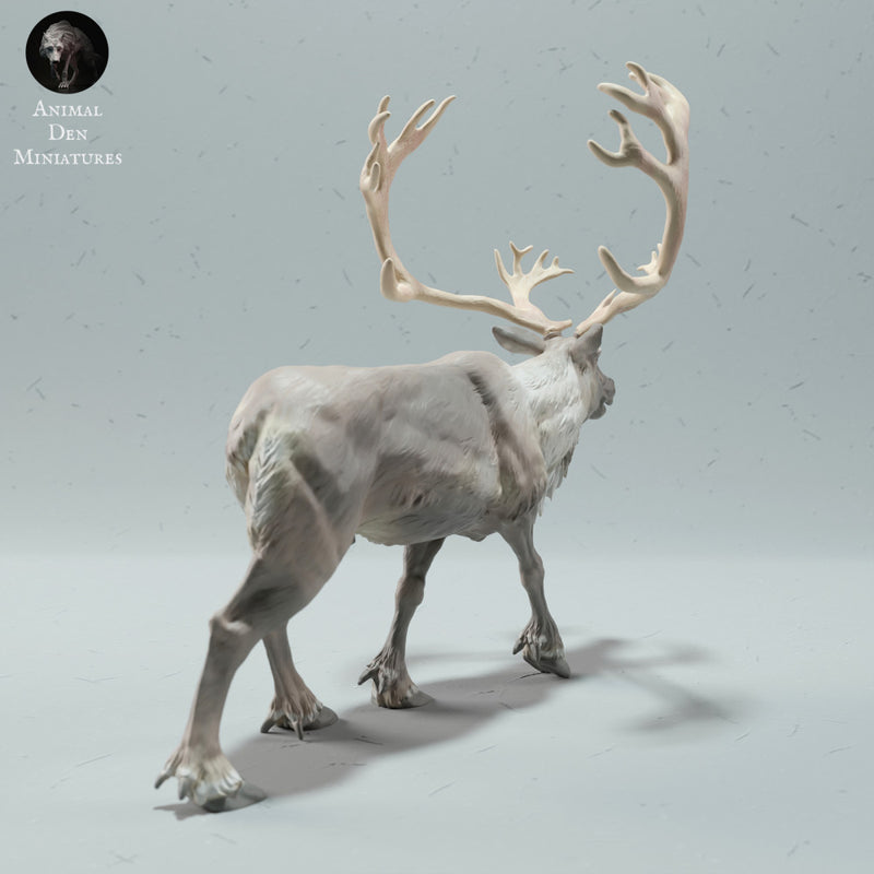 Reindeer / Caribou Bull Calling - Only-Games