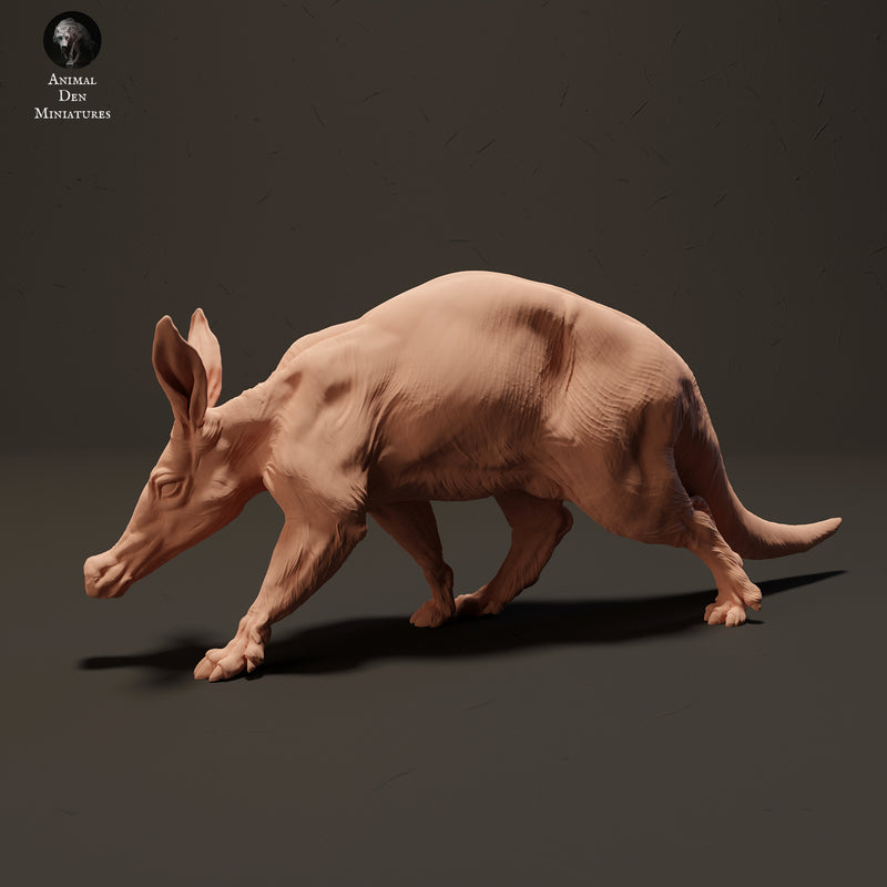 Aardvark 1/20 - Only-Games