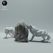 Arctic Wolves Hunting Muskox - Only-Games