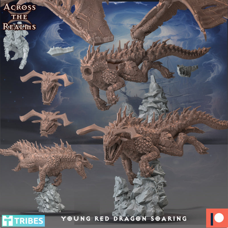 Young Red Dragon Soaring - Only-Games