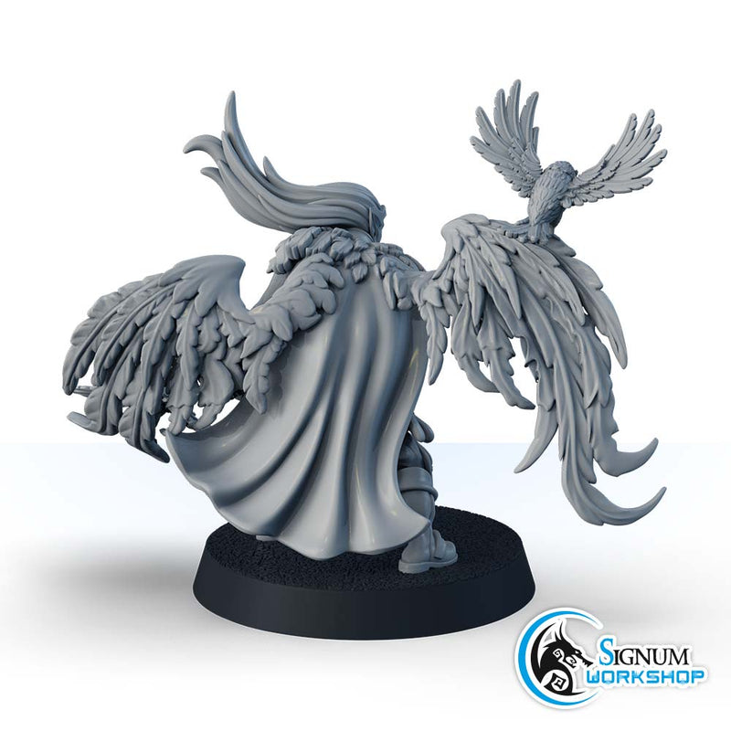 Cael Ravenwing, Blades of Night - Only-Games