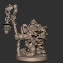 Olda, the Tortle Druid - Only-Games