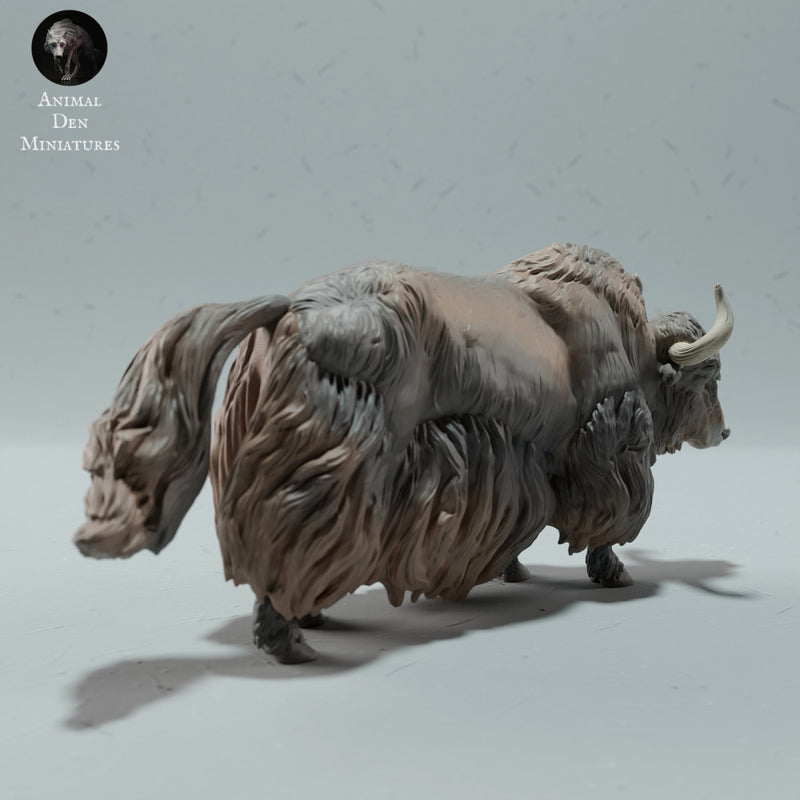 Himalayan Wild Yak - Only-Games