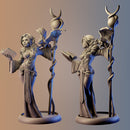 Celadine 75mm - Only-Games