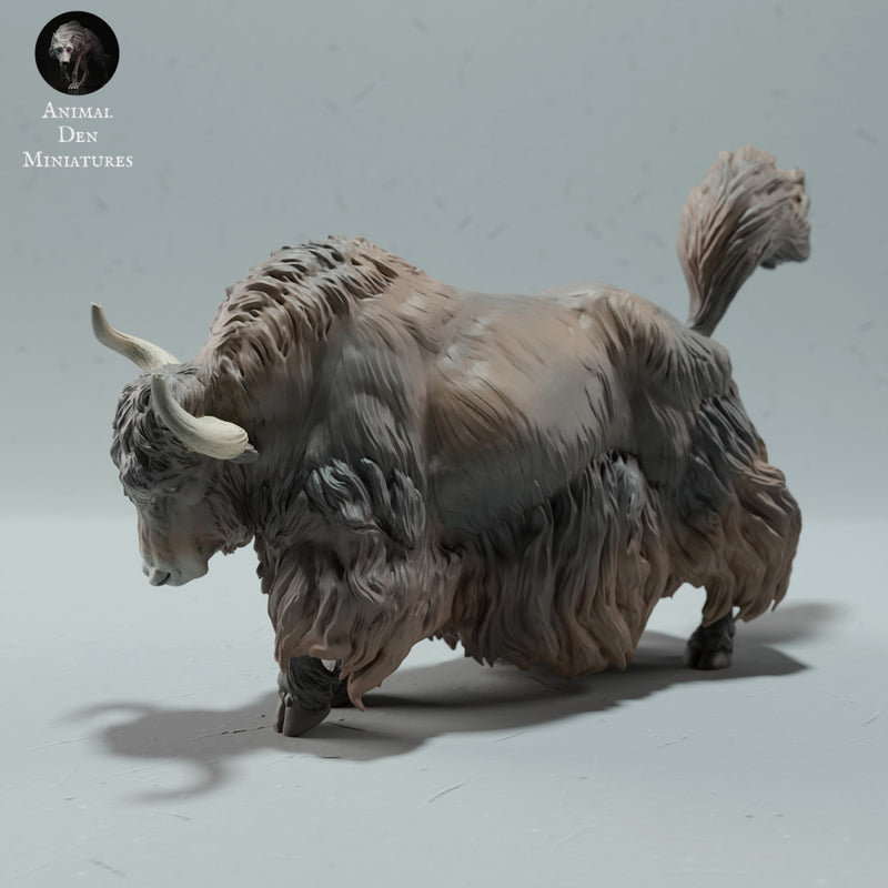 Himalayan Wild Yak Stance - Only-Games