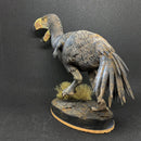 Brontornis running prehistoric bird 1/24 scale - Only-Games