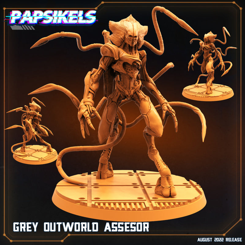 GREY OUTWORLD ASSESOR - Only-Games