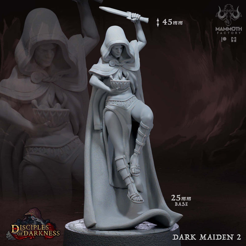 Dark Maidens Warband - Only-Games